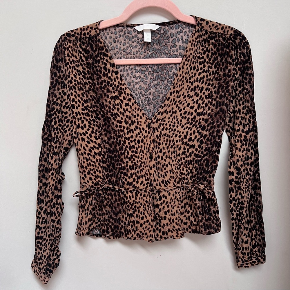 H&M Brown Leopard Print V-Neck Button Up Long Sleeve Blouse